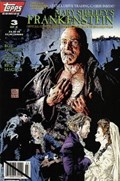 MARY SHELLY'S FRANKENSTEIN #3B 