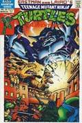 TEENAGE MUTANT NINJA TURTLES ADVENTURES #30 