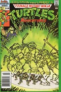 TEENAGE MUTANT NINJA TURTLES ADVENTURES #3B 
