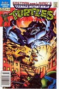TEENAGE MUTANT NINJA TURTLES ADVENTURES #30B 