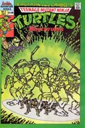 TEENAGE MUTANT NINJA TURTLES ADVENTURES #3 