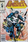 THE PUNISHER #17B 