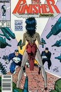 THE PUNISHER #25B 