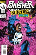 PUNISHER: WAR ZONE #24 