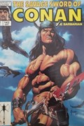 SAVAGE SWORD OF CONAN #143 Magazine