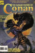 SAVAGE SWORD OF CONAN #229 Magazine