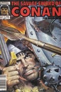 SAVAGE SWORD OF CONAN #113B Magazine