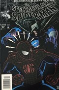 THE SPECTACULAR SPIDER-MAN #207B 