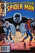 THE SPECTACULAR SPIDER-MAN #98C 