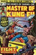 MASTER OF KUNG FU #39C 