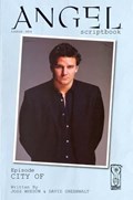 ANGEL SCRIPTBOOK (NON COMIC) #1B 
