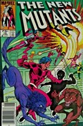 THE NEW MUTANTS #16C 