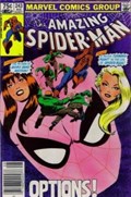 THE AMAZING SPIDER-MAN #243C 