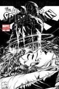 THE AMAZING SPIDER-MAN #641C 