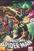 THE AMAZING SPIDER-MAN #645B 