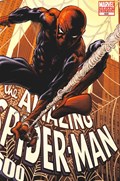 THE AMAZING SPIDER-MAN #600C 