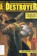 THE DESTROYER #8 Magazine