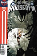 SPIDER-MAN: HOUSE OF M #2B 