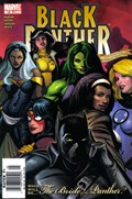 BLACK PANTHER #14B 