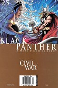 BLACK PANTHER #25B 