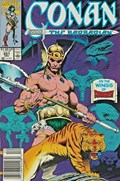CONAN THE BARBARIAN #251B 