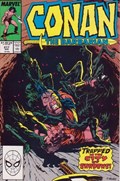 CONAN THE BARBARIAN #217 