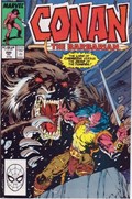 CONAN THE BARBARIAN #220 