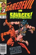 DAREDEVIL #202C 