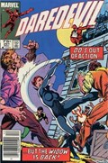 DAREDEVIL #201C 
