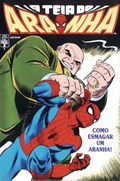 A TEIA DO ARANHA #7 