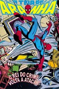 A TEIA DO ARANHA #12 