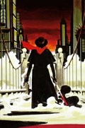 THE SHADOW #7-RI-B 