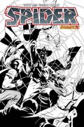 THE SPIDER #4-RI-B 