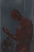 THE FLASH #795-RI-B 