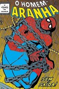 HOMEM-ARANHA #109 