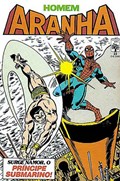HOMEM-ARANHA #23 