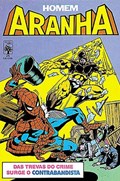 HOMEM-ARANHA #25 
