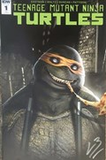 TEENAGE MUTANT NINJA TURTLES #1-PLAC-C 