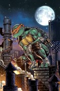 TEENAGE MUTANT NINJA TURTLES #101-SLAB 