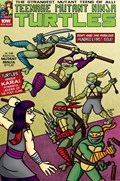 TEENAGE MUTANT NINJA TURTLES #101-TMNT-B 