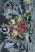 TEENAGE MUTANT NINJA TURTLES #100-FINK-B 