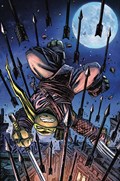 TEENAGE MUTANT NINJA TURTLES #100-PLAC-G 
