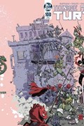 TEENAGE MUTANT NINJA TURTLES #100-DLAIR 