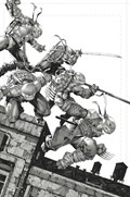 TEENAGE MUTANT NINJA TURTLES #106-BTC 
