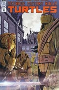 TEENAGE MUTANT NINJA TURTLES #108-RI 