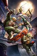 TEENAGE MUTANT NINJA TURTLES #103-BTC 