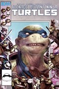 TEENAGE MUTANT NINJA TURTLES #111-SM616 