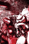 TEENAGE MUTANT NINJA TURTLES #110-SM616-C 