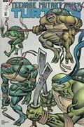 TEENAGE MUTANT NINJA TURTLES #113-RI 