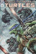 TEENAGE MUTANT NINJA TURTLES #114-RI 